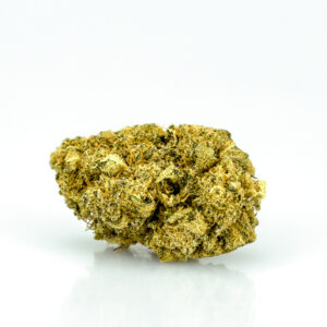 01.Sensi Bud 2.0 1