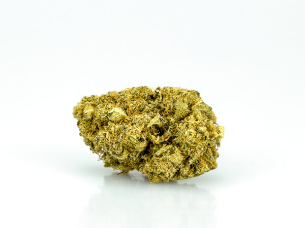 01.Sensi Bud 2.0 1