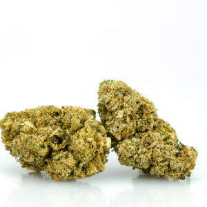 02.Sensi Bud 2.0 2