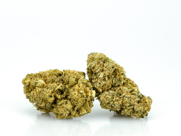 02.Sensi Bud 2.0 2