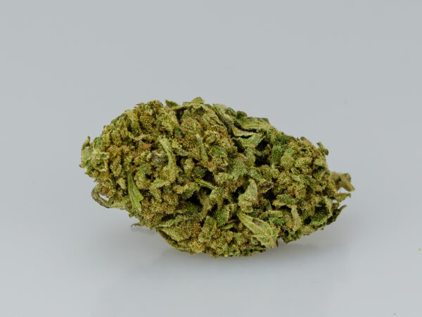 Buendner Gras Bud 1