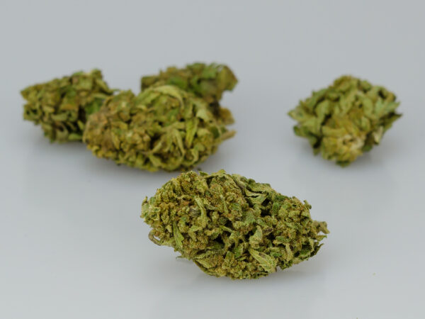 Buendner Gras Buds1 1