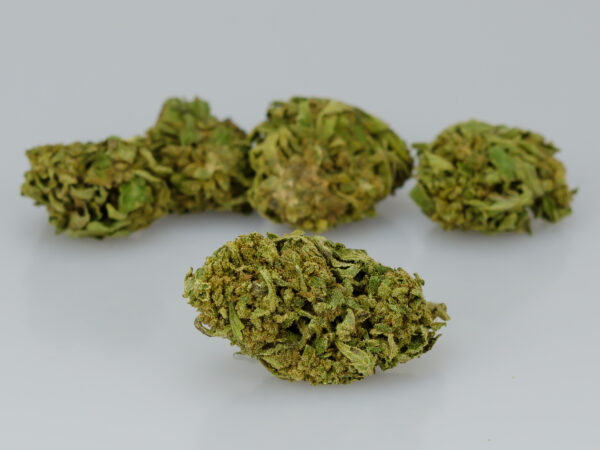 Buendner Gras Buds2 1