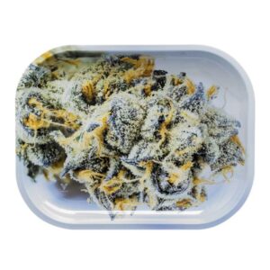 ROLLING TRAY GSC