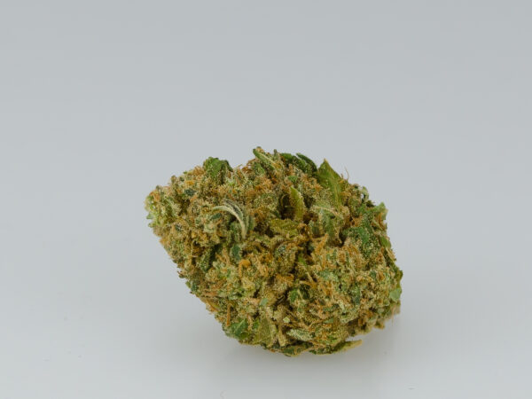Neues W.W Bud